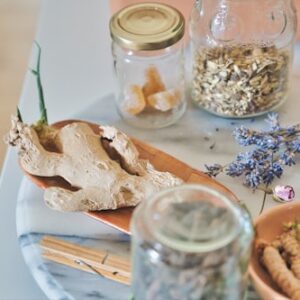 Wellness Journal